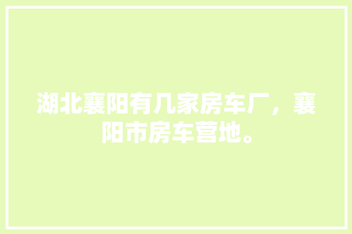 争锋者代码编程世界的精英之战